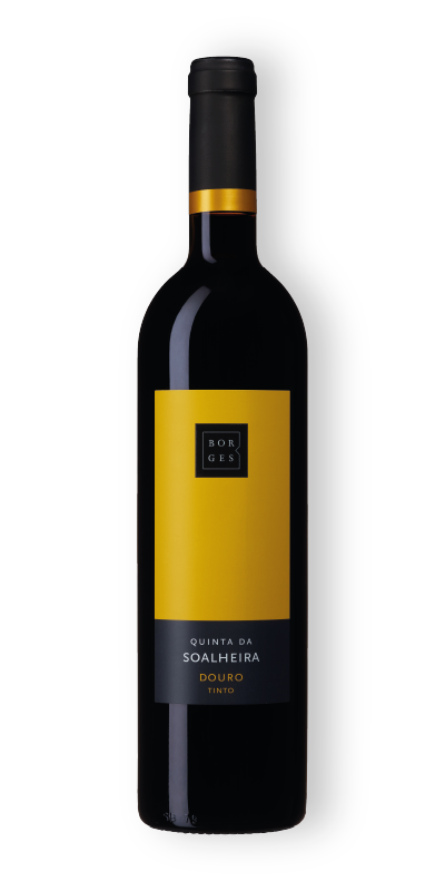 Bottle__13
